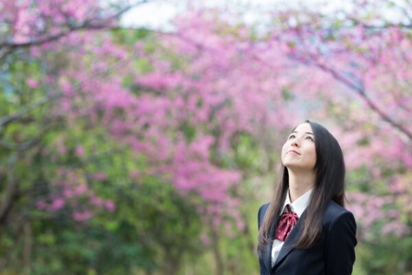 旧司法試験と予備試験の違いは？ 元受験生が新旧試験を比較してみた